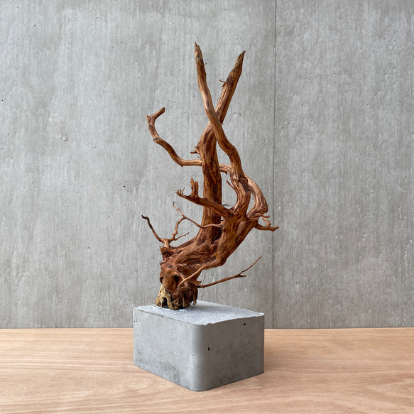 コンクリート盆栽 ( M brown A -3 ) 流木 オブジェ ディスプレイ 高級 スタイリッシュ アート デザイン 8枚目の画像