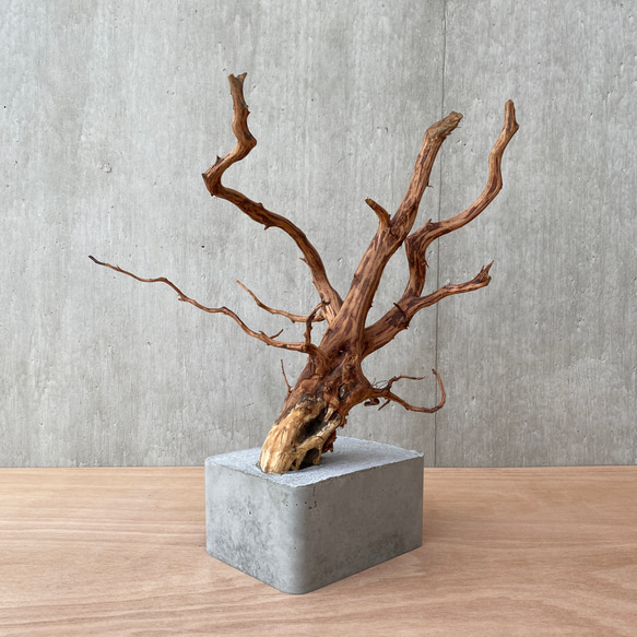 コンクリート盆栽 ( M brown A -3 ) 流木 オブジェ ディスプレイ 高級 スタイリッシュ アート デザイン 5枚目の画像