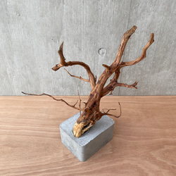 コンクリート盆栽 ( M brown A -3 ) 流木 オブジェ ディスプレイ 高級 スタイリッシュ アート デザイン 13枚目の画像