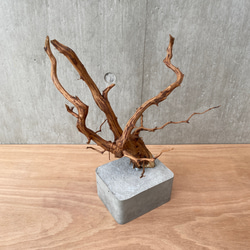 コンクリート盆栽 ( M brown A -3 ) 流木 オブジェ ディスプレイ 高級 スタイリッシュ アート デザイン 17枚目の画像
