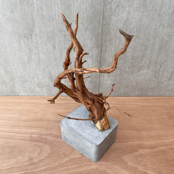 コンクリート盆栽 ( M brown A -3 ) 流木 オブジェ ディスプレイ 高級 スタイリッシュ アート デザイン 11枚目の画像