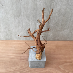 コンクリート盆栽 ( M brown A -3 ) 流木 オブジェ ディスプレイ 高級 スタイリッシュ アート デザイン 12枚目の画像
