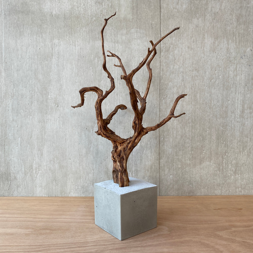 【コンクリート盆栽 流木オブジェ】 アート アクセサリー インテリア 爬虫類 ➅【コンクリート盆栽 流木オブジェ】ディスプレイ アート