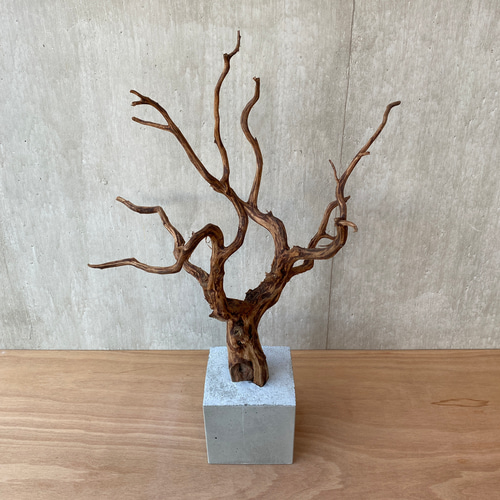 ➅【コンクリート盆栽 流木オブジェ】ディスプレイ アート