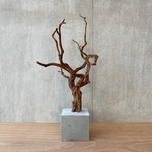➅【コンクリート盆栽 流木オブジェ】ディスプレイ アート
