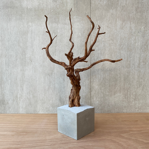 ➅【コンクリート盆栽 流木オブジェ】ディスプレイ アート