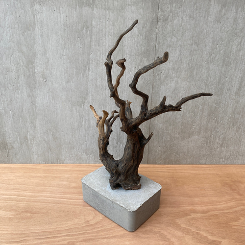 コンクリート盆栽 (large tree black-1) 流木 オブジェ