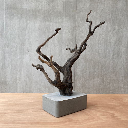 コンクリート盆栽 (large tree black-1) 流木 オブジェ