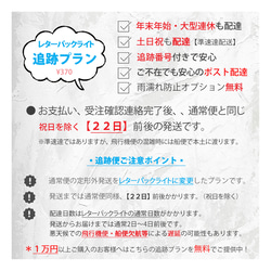 【追跡/速達便】〈普通郵便→レターパック・速達郵便に変更〉●雨濡れ防止ビニール梱包付き● 3枚目の画像