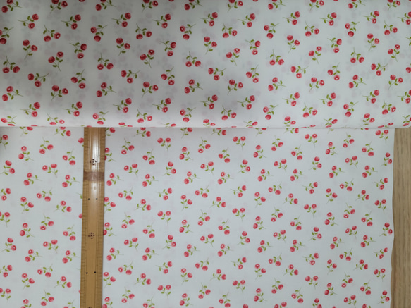 ラスト moda fabrics ROSEBUD WHITE 29133-11 BEAUTIFUL DAY 3枚目の画像