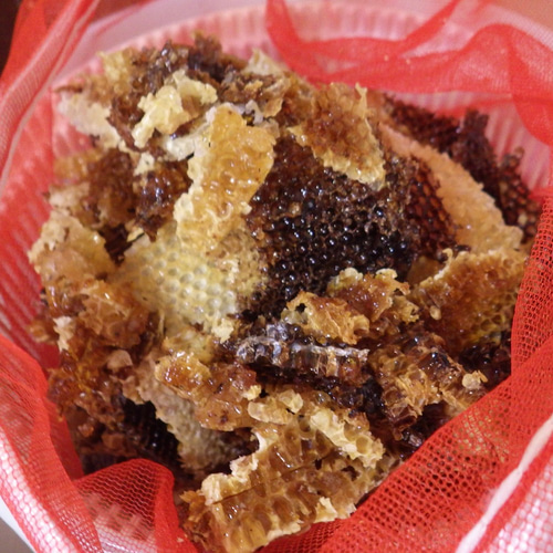 日本蜜蜂 ニホンミツバチ 蜜蝋 ミツロウ 50g 自家精製 オレンジ色