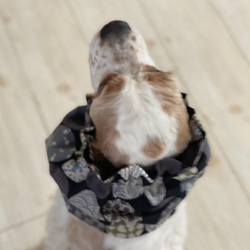 和柄ドッド◉ブラック　犬用スヌード　中型犬用スヌード 5枚目の画像