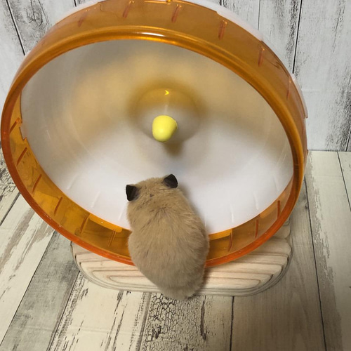 ハムスターホイールスタンド サイレントホイール 19 21 回し車