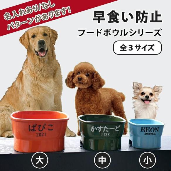 【送料無料】早食い防止 高台カラーフードボウル 【小】 全10色 pet109 2枚目の画像