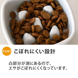 【送料無料】早食い防止 高台カラーフードボウル 【小】 全10色 pet109 7枚目の画像