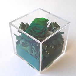 推しカラーボックス(緑)  プリザーブドフラワー アレンジメント クリアケース 5枚目の画像
