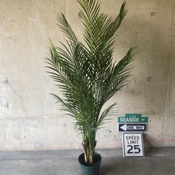 光触媒　人工観葉植物　ウォールグリーン　フェイク　アレンジ　アレカヤシ155 4枚目の画像