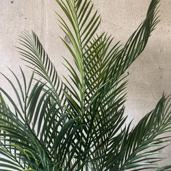 光触媒　人工観葉植物　ウォールグリーン　フェイク　アレンジ　アレカヤシ155 5枚目の画像