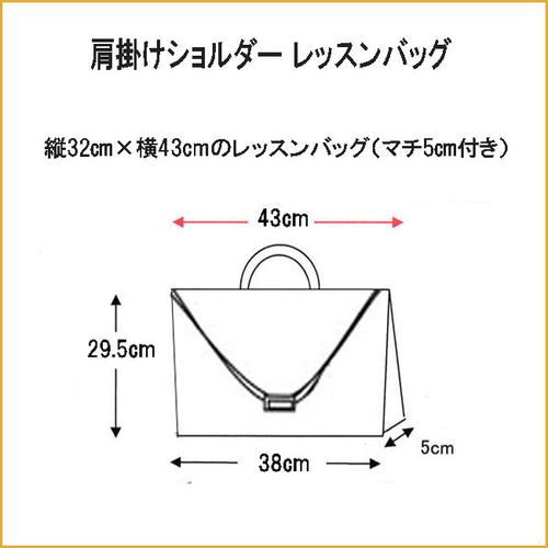 ショルダー 肩掛け レッスンバッグ 電車 新幹線 上履き袋 入園