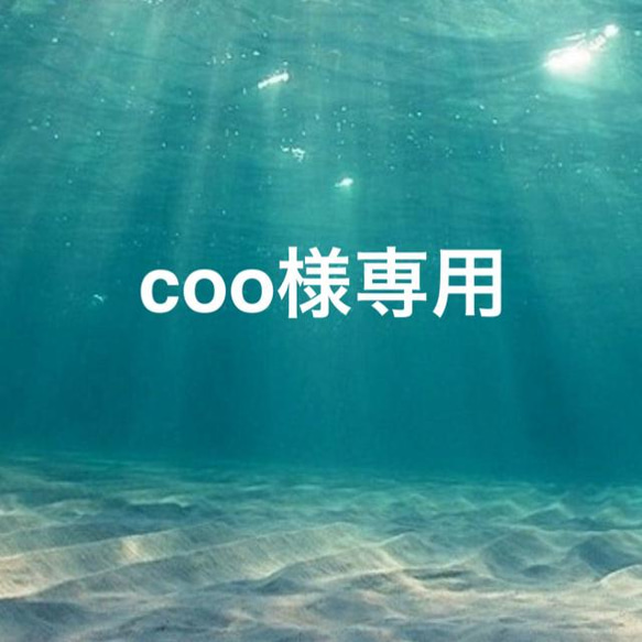 coo様専用 ナンバー刻印リンク　静電気軽減仕様ブレスレット 1枚目の画像