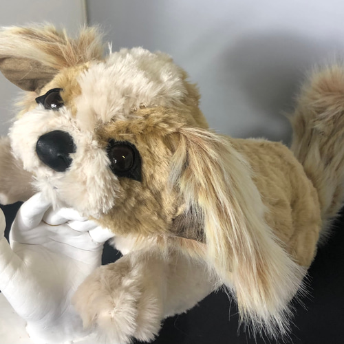 シーズー犬のぬいぐるみ ぬいぐるみ ゴリ 通販 13136737｜Creema