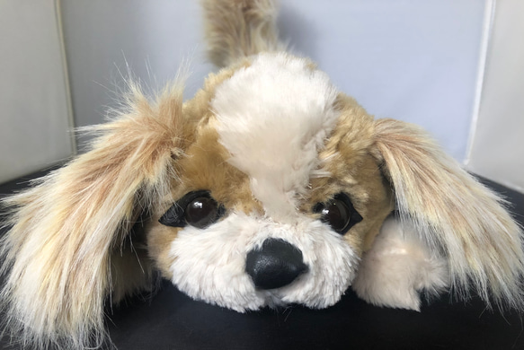 シーズー犬のぬいぐるみ ぬいぐるみ ゴリ 通販 13136737｜Creema