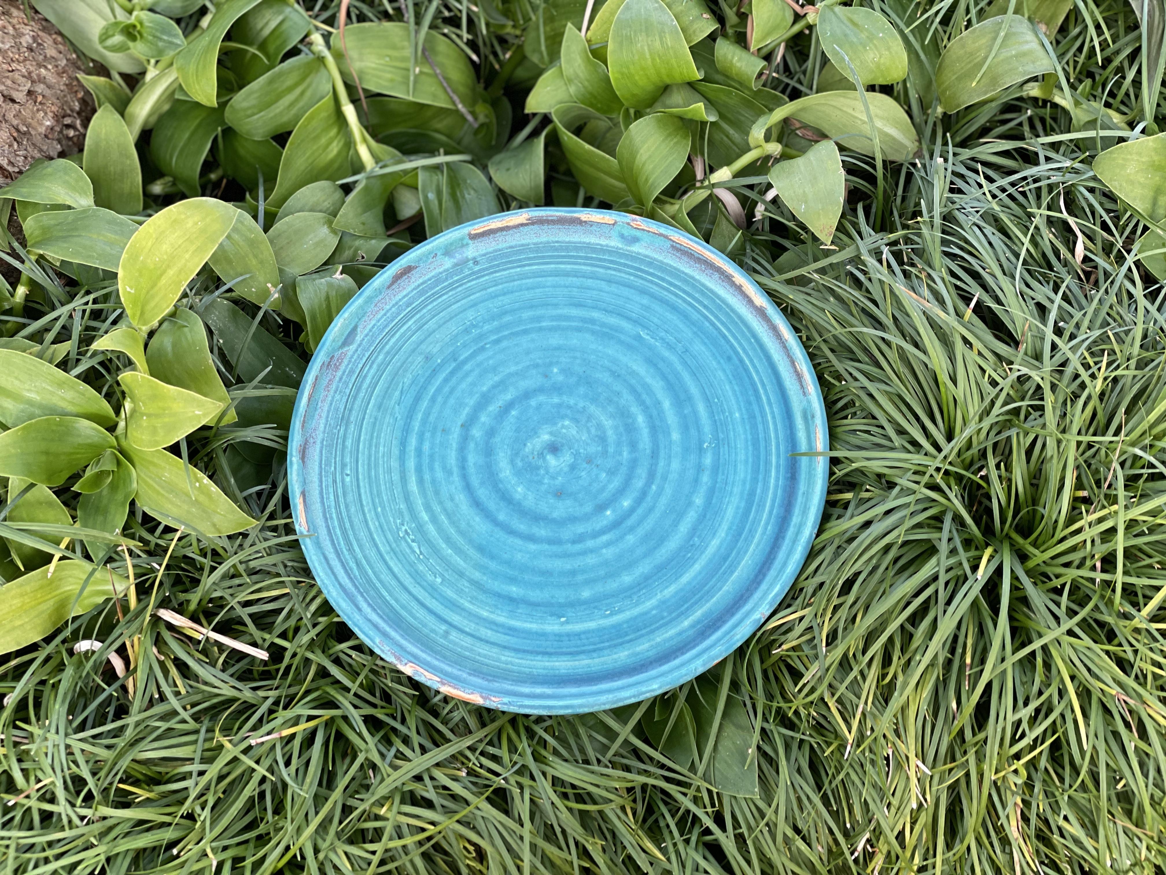 Tahara blue plate (24cm)