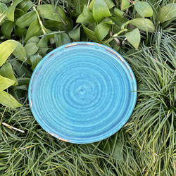 Tahara blue plate (24cm) 1枚目の画像