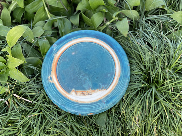 Tahara blue plate (24cm) 3枚目の画像