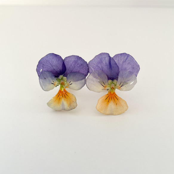 ビオラ　パープルオレンジ　クリップイヤリング✳︎生花のアクセサリー 1枚目の画像