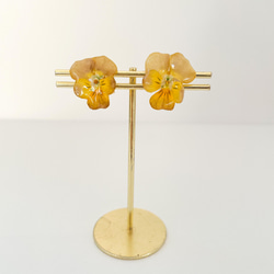 ビオラ　クリーム　クリップイヤリング✳︎生花のアクセサリー 2枚目の画像