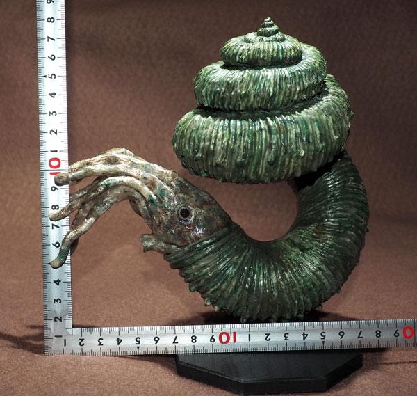 殻高16cm　等倍ディディモセラスの模型 10,950円