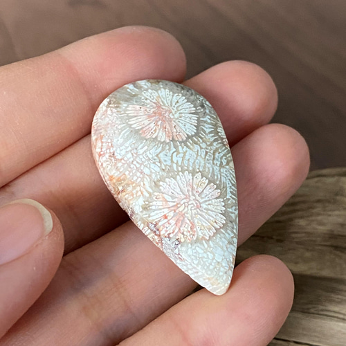 いちごウサギ様10/21＊アラシャン瑪瑙ウサギ フォッシルコーラル