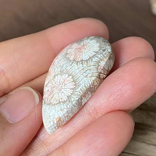 レアカラー”赤”大輪の花 レッドフォッシルコーラル 05 天然石 ルース