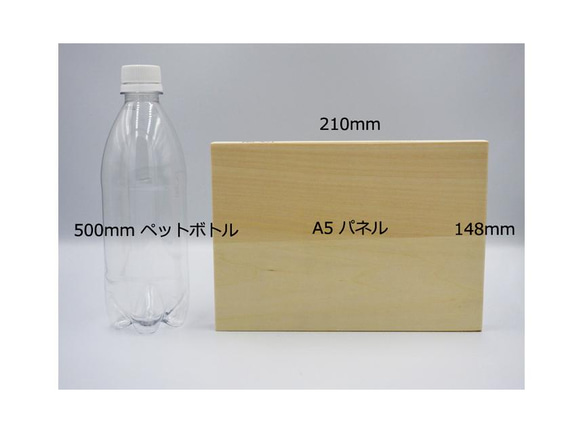アートパネル 「光を浴びて（虎）」 A5サイズ/縁起物/ 寅/干支 /【再販】 9枚目の画像