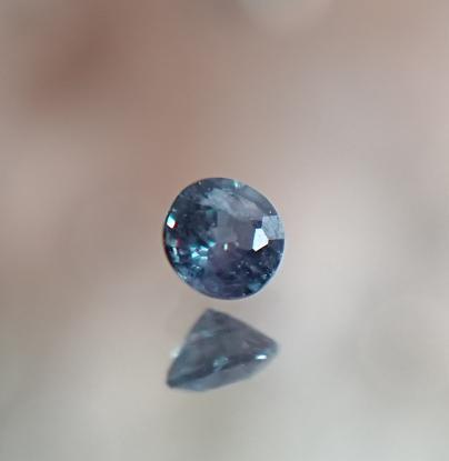 新品◆あかる目のお色ロシアンセーブル