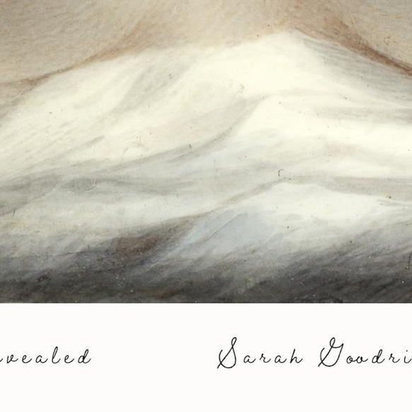 Sarah Goodridge "Beauty Revealed" / アートポスター 絵画 体 胸 女性 ポートレート 4枚目の画像