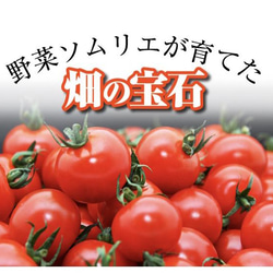 ④【塩トマトのようなフルーツトマト】ソムリエミニトマト　ダイヤ箱込み２kg 6枚目の画像