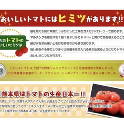 ④【塩トマトのようなフルーツトマト】ソムリエミニトマト　ダイヤ箱込み２kg 4枚目の画像