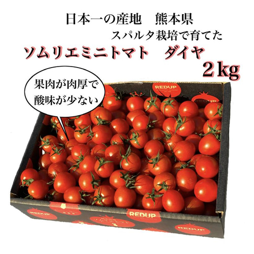 予約【特別栽培農産物】ソムリエミニトマト ダイヤ箱込み2kg