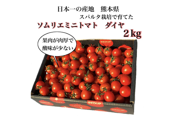 ④【塩トマトのようなフルーツトマト】ソムリエミニトマト　ダイヤ箱込み２kg 1枚目の画像
