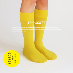 キナリノ掲載 レディースソックス 靴下 黄色 イエロー フィット「TRIP SCOTT」 YELLOW 1枚目の画像