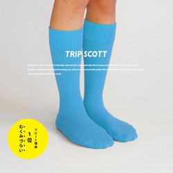 キナリノ掲載 水色 靴下 カラーソックス ブルー フィット「TRIP SCOTT」 blue 丈夫 速乾 1枚目の画像