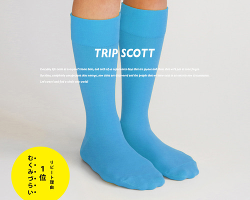 靴下 くつした 26cm 水色 ブルー 靴下 ソックス キナリノ掲載 水色 靴下 カラーソックス ブルー フィット「TRIP SCOTT