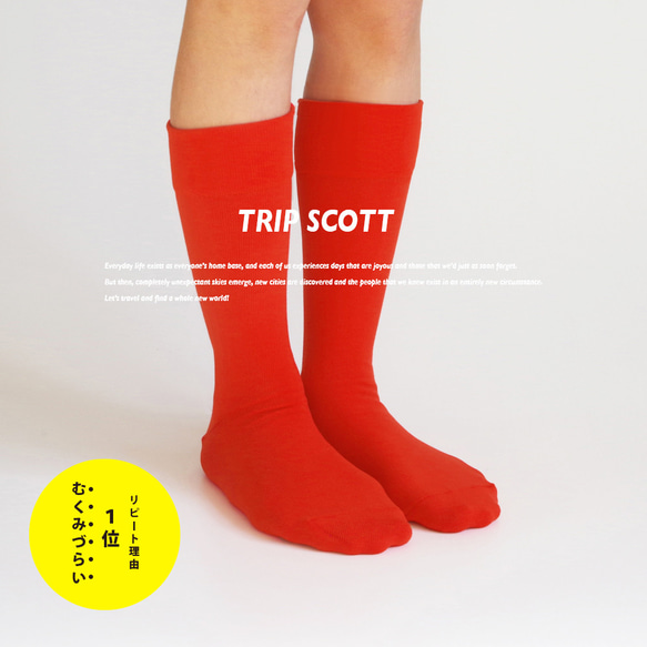 キナリノ掲載 赤 靴下 カラーソックス red フィット「TRIP SCOTT」 丈夫 速乾 カジュアル 1枚目の画像