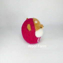 柴犬だるま(福)　～Wool Farm～　羊毛フェルト 3枚目の画像