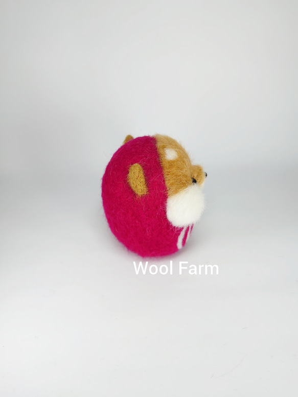柴犬だるま(福)　～Wool Farm～　羊毛フェルト 3枚目の画像