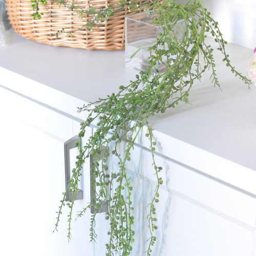 ✿あまちゃんページ〜 マジカルウォーターアレンジ(カラー) ✿あま