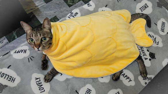 【海洋夢境】寵物貓咪 美人魚斗篷 毯子〝猫用毛布&ポンチョ✽Cat blanket& cloak〞 第1張的照片