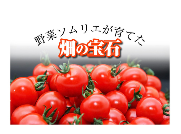 ②『極み』塩トマトのようなフルーツトマト　ソムリエミニトマト　ダイヤ３kg（120玉〜200玉） 11枚目の画像
